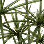  Plante Artificielle  Papyrus  115cm Vert & Noir