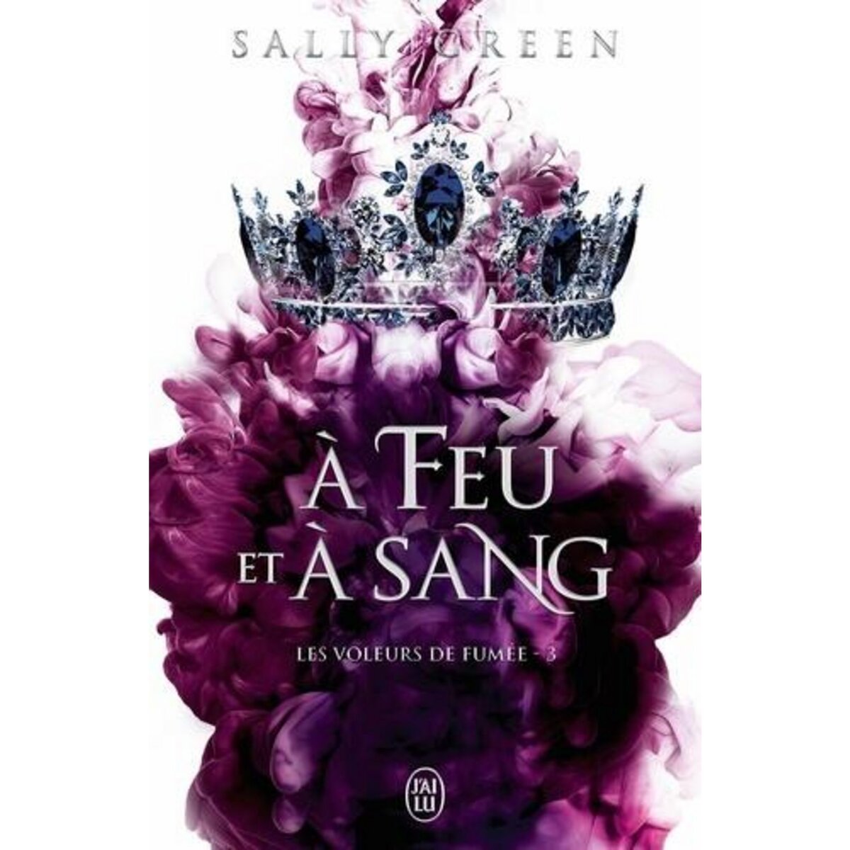 LES VOLEURS DE FUMEE TOME 3 : A FEU ET A SANG, Green Sally