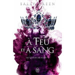 LES VOLEURS DE FUMEE TOME 3 : A FEU ET A SANG, Green Sally