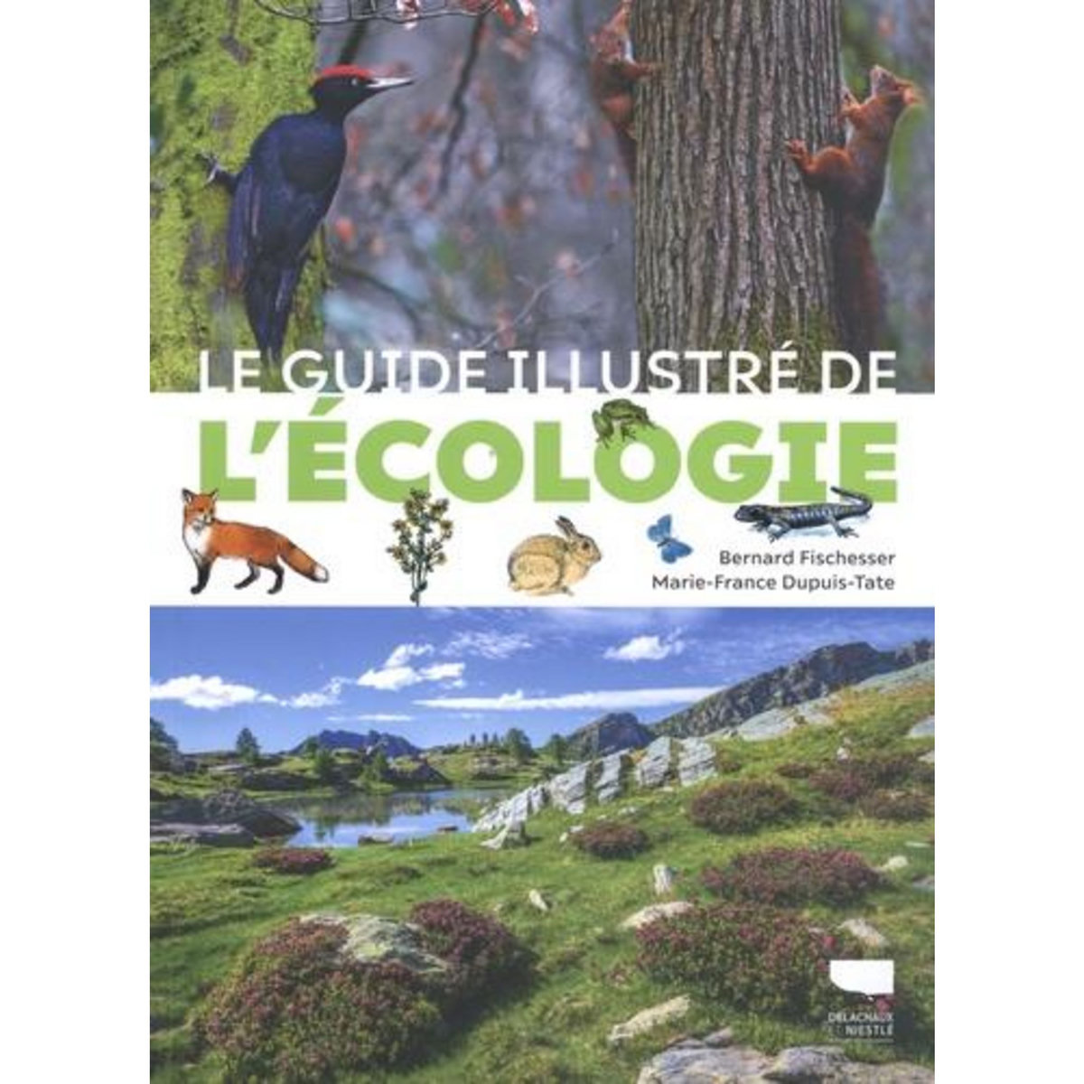 LE GUIDE ILLUSTRE DE L'ECOLOGIE, Fischesser Bernard