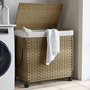 Voir la diapositive 1 : VIDAXL Panier a linge avec roulettes 60x35x60,5 cm resine tressee
