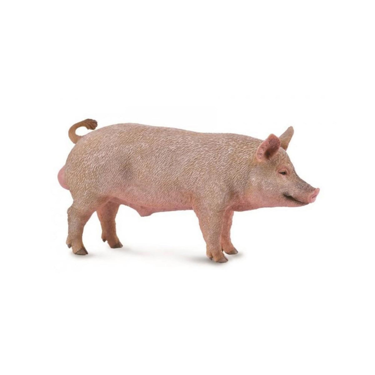 Figurines Collecta Figurine Cochon