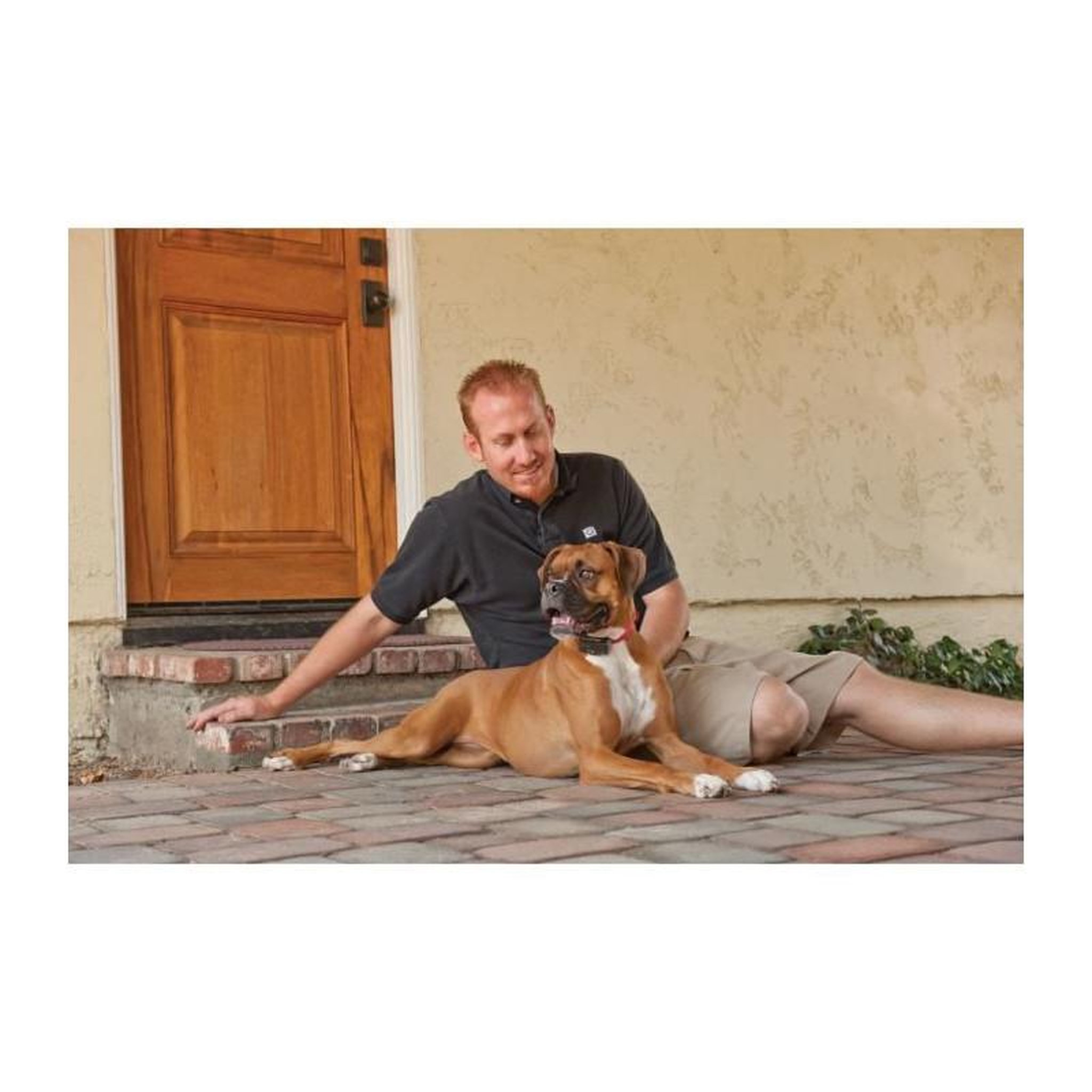 Voir la diapositive 3 : PETSAFE PetSafe Collier anti-aboiement  71 cm PBC19-10765
