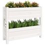 Voir la diapositive 4 : VIDAXL Jardiniere Blanc 77x25x66 cm Bois massif de pin