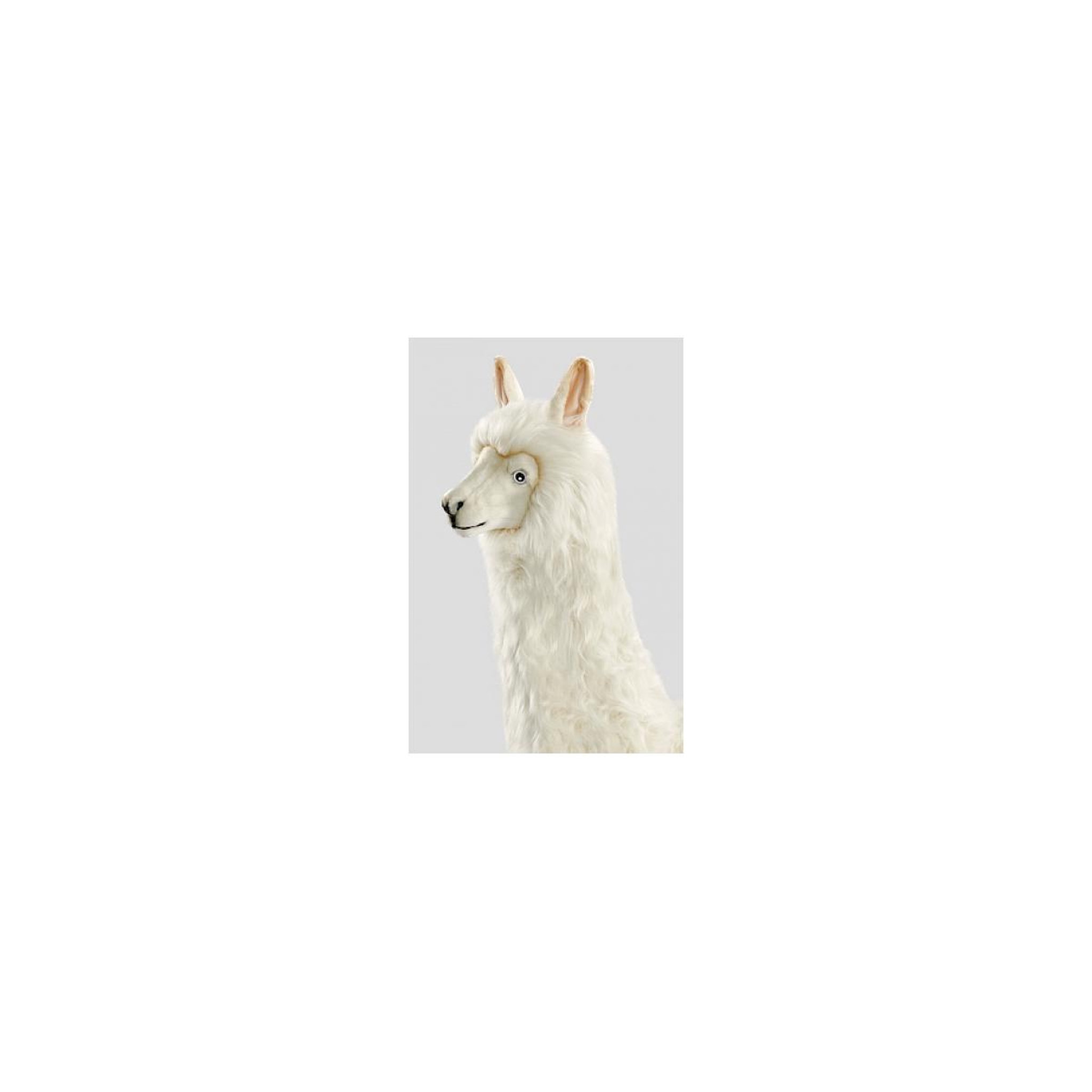 Voir la diapositive 3 : Hansa Hansa peluche Geante Lama Alpaga Blanc 165 cm H et 115 cm L