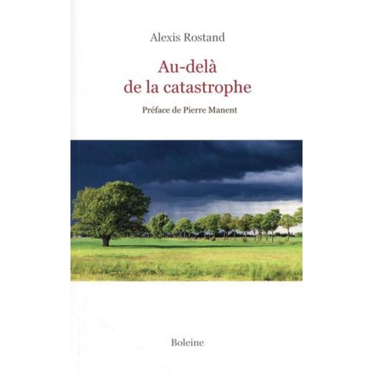 AU-DELA DE LA CATASTROPHE, Rostand Alexis