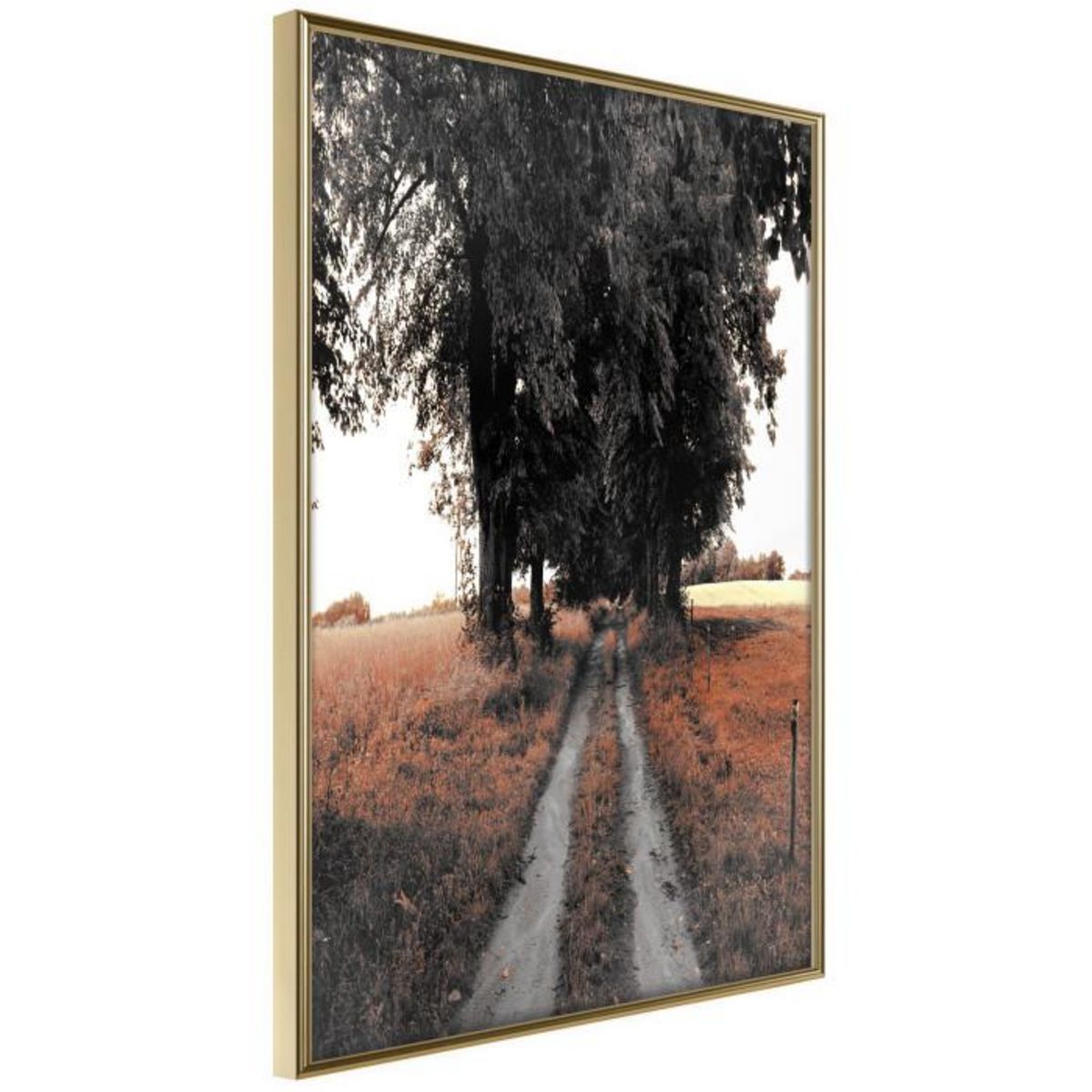 Paris Prix Affiche Murale Encadrée  Field Path