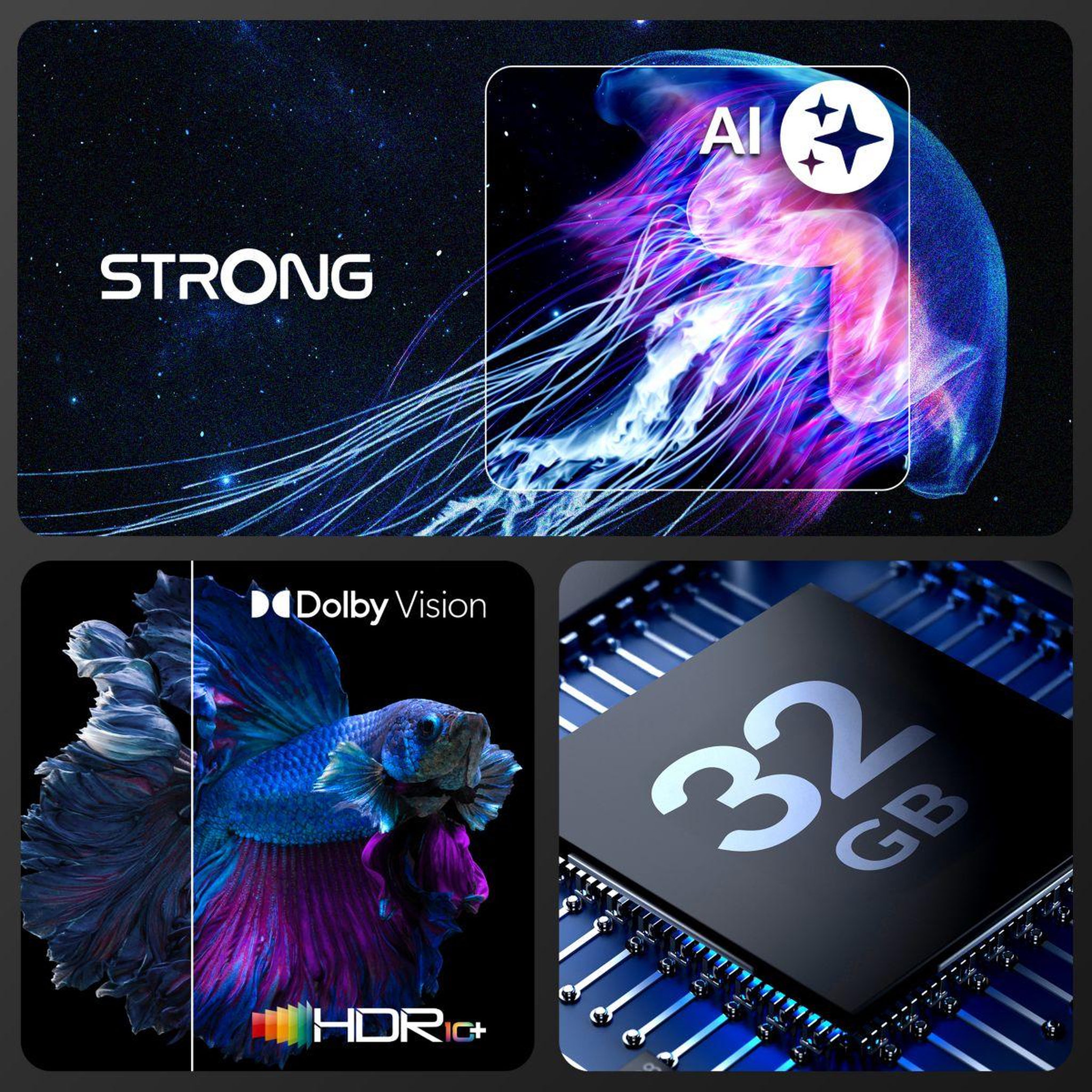 Voir la diapositive 5 : Strong Clé LEAP NOVA