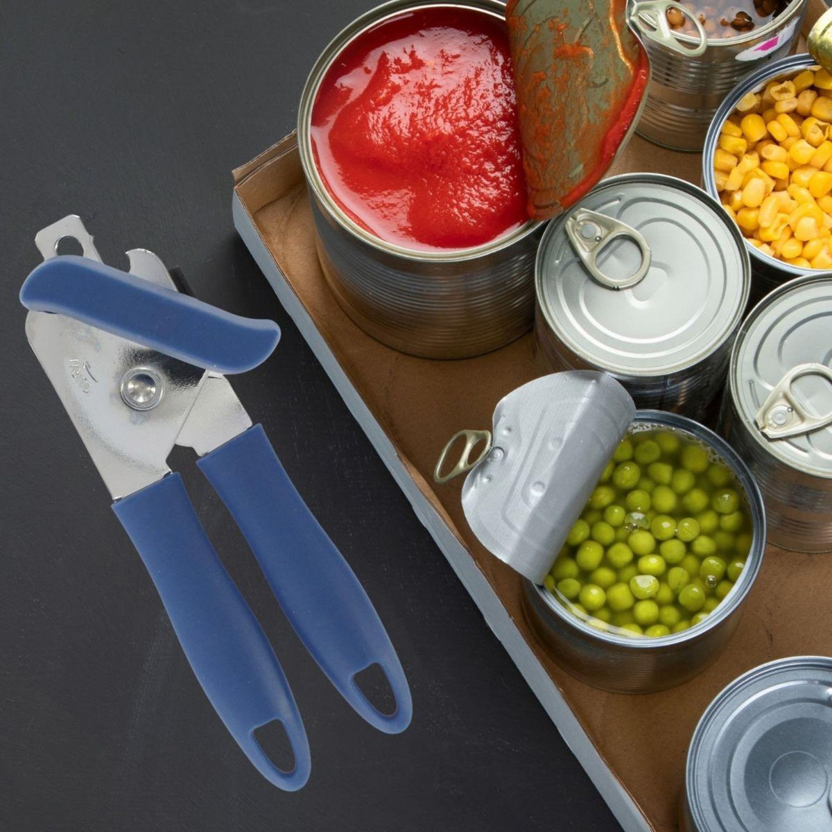 Fackelmann Ensemble de 2 Ouvre-boîtes 18,6 cm Fackelmann Elemental