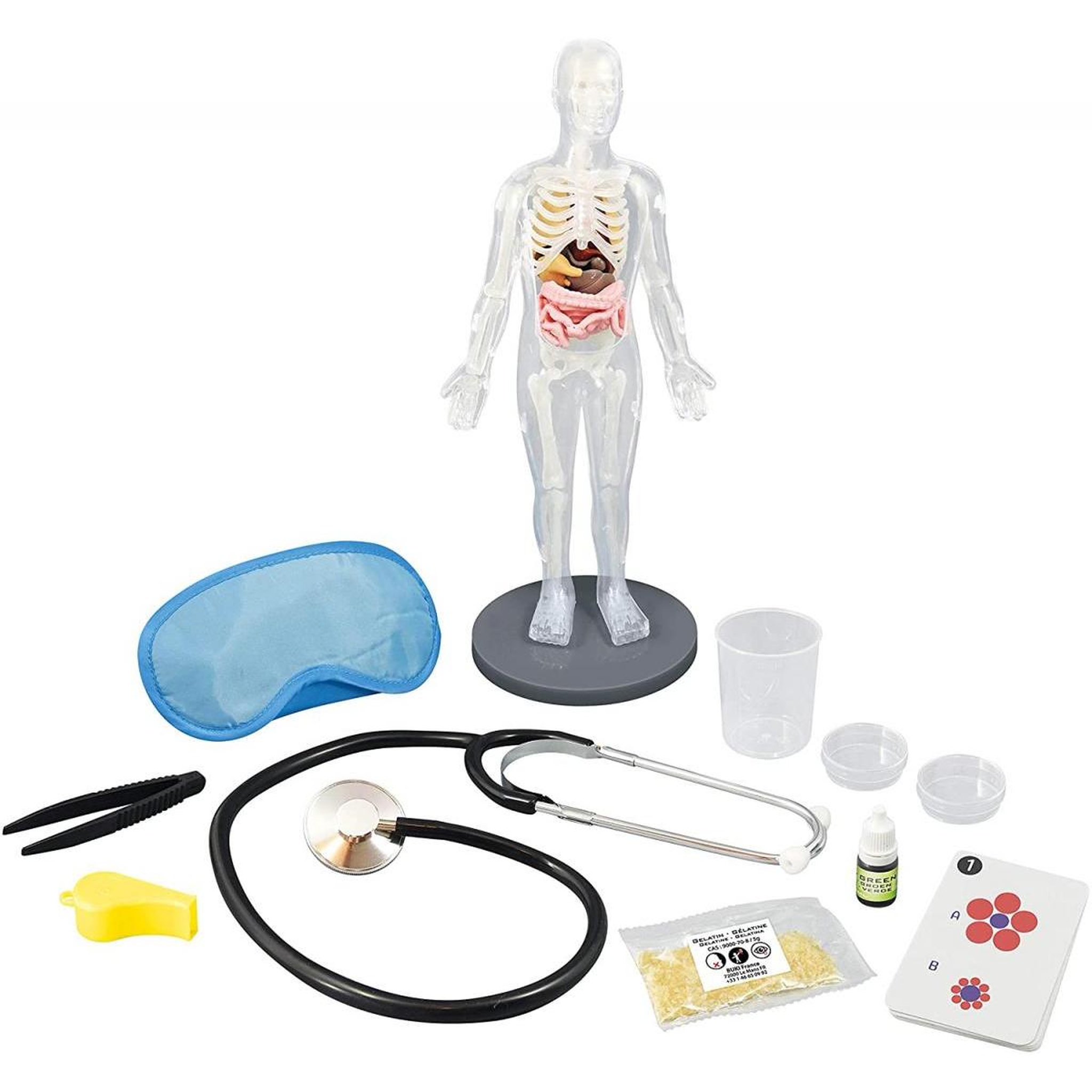 Voir la diapositive 2 : BUKI Kit d exeperience - Le corps humain