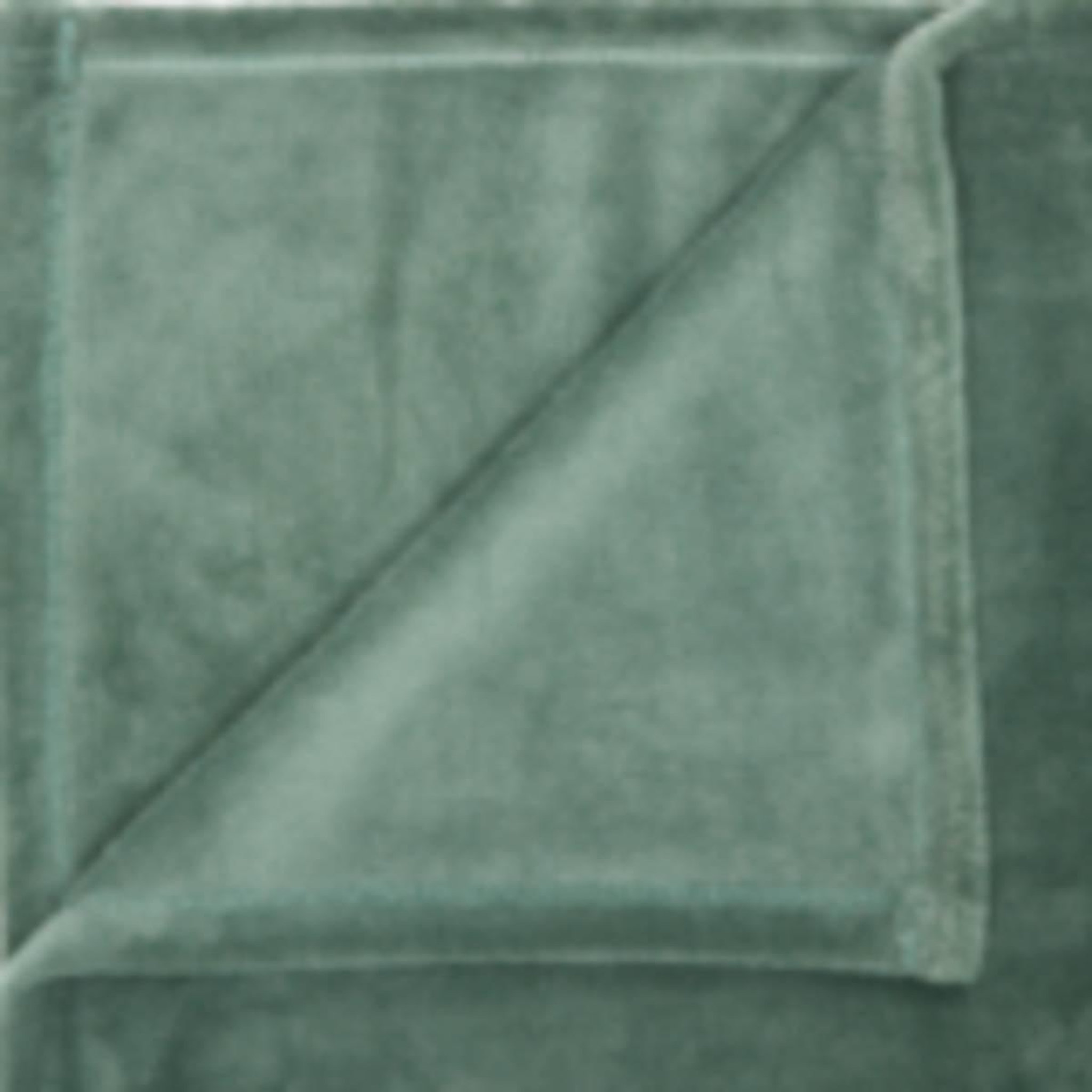Voir la diapositive 2 : ATMOSPHERA Plaid uni microfibre  kiesa  180x260cm vert tilleul