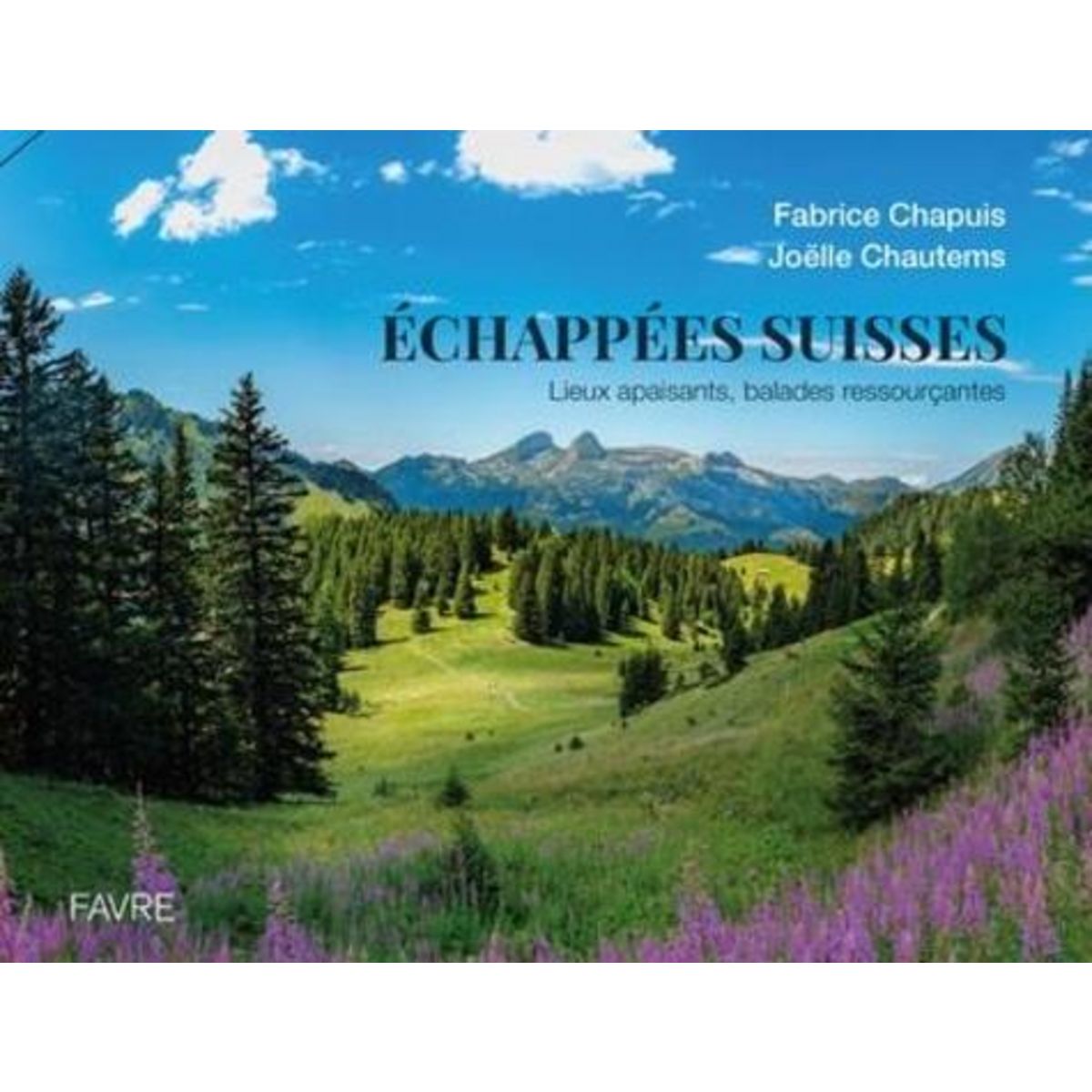 ECHAPPEES SUISSES. LIEUX APAISANTS, BALADES RESSOURCANTES, Chapuis Fabrice