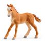 Voir la diapositive 8 : Schleich SCH NOUVEAU CENTRE EQUESTRE