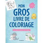 MON GROS LIVRE DE COLORIAGE. POUR S'AMUSER PARTOUT, TOUT LE TEMPS !, Ballot Didier