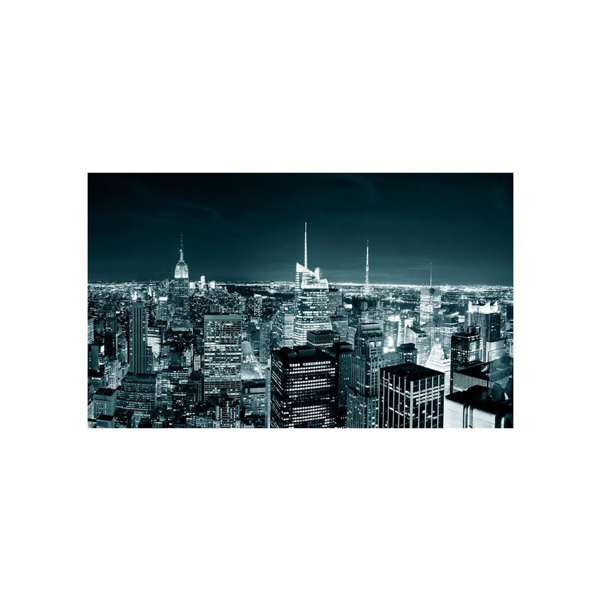 Voir la diapositive 2 : Paris Prix Papier peint  vie nocturne à new york ii  270x450cm
