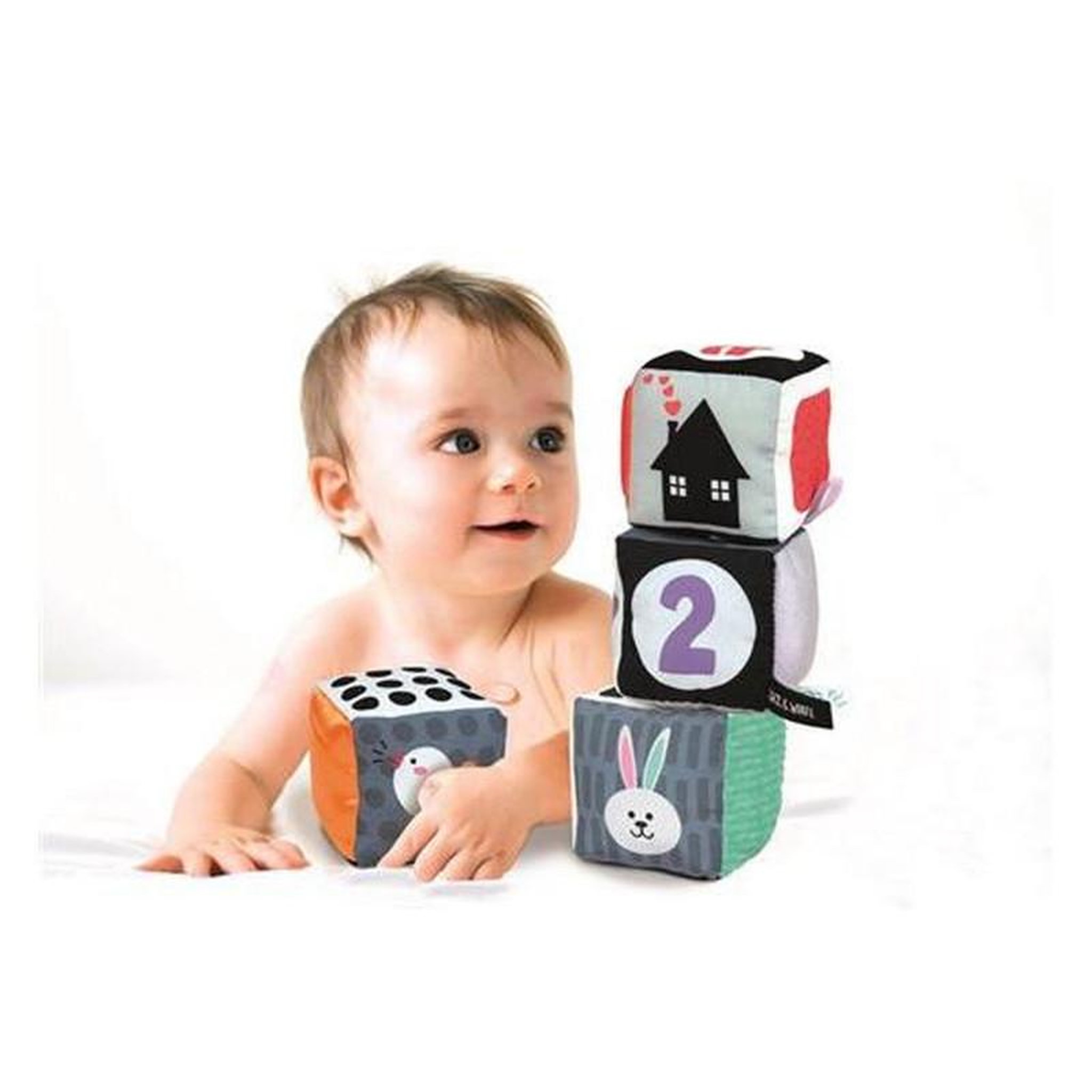 Voir la diapositive 3 : CLEMENTONI Blocs peluche Clementoni 4 pièces 10 cm