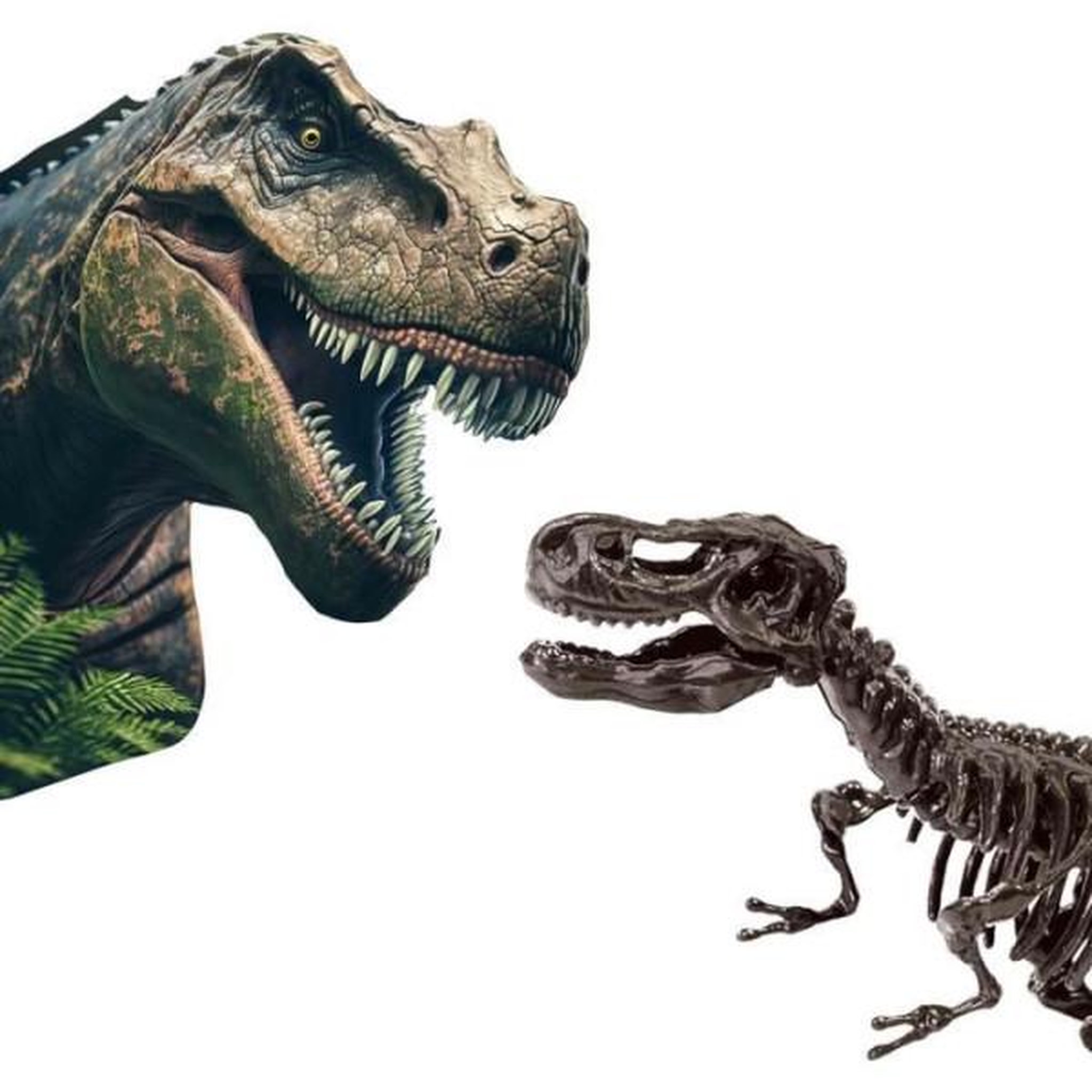 Voir la diapositive 3 : SES CREATIVE Fouille de dinosaures et de squelettes 2 en 1 - T-rex - SES CREATIVE