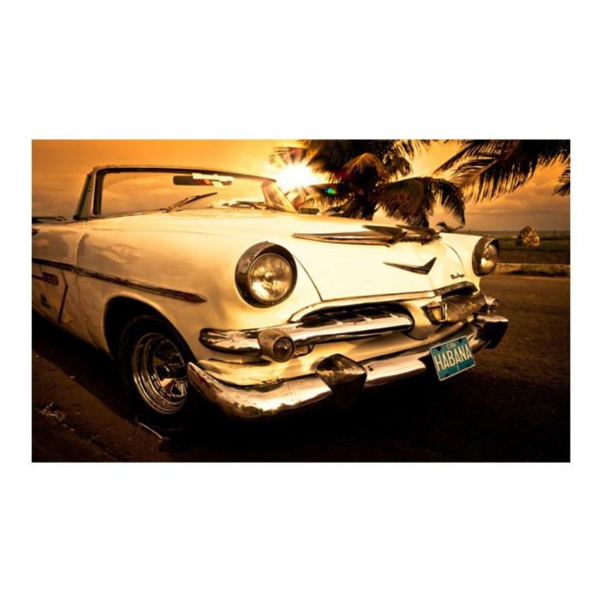 Paris Prix Papier Peint  Viva Havana! II  270x450cm