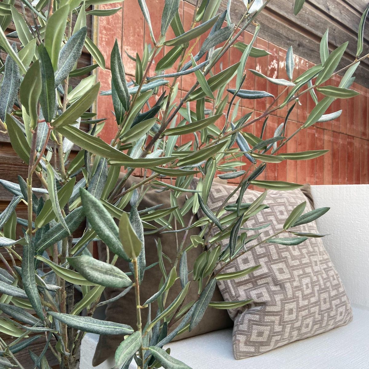 PLANT IN A BOX Olivier artificiel - Hauteur 150cm