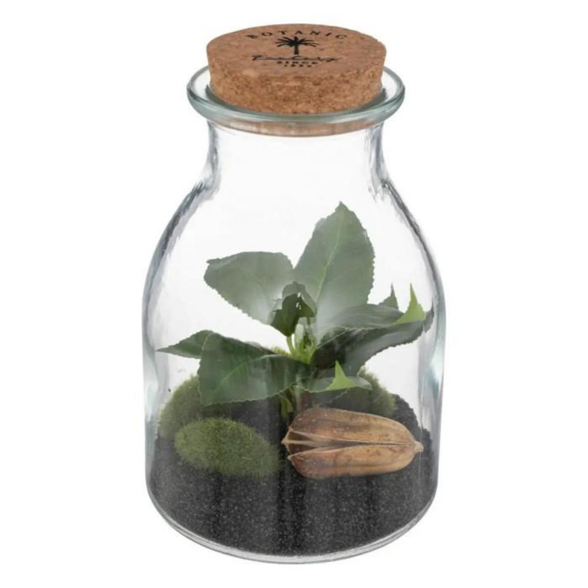 ATMOSPHERA Terrarium en Verre  Bota  19cm Transparent