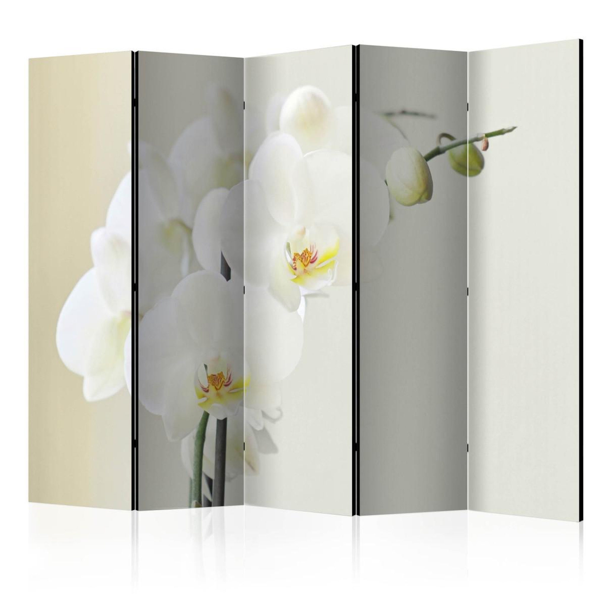 Paris Prix Paravent 5 volets  white orchid  172x225cm