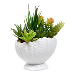 ATMOSPHERA Composition Artificielle Pot Coquillage  Ocea  20cm Blanc