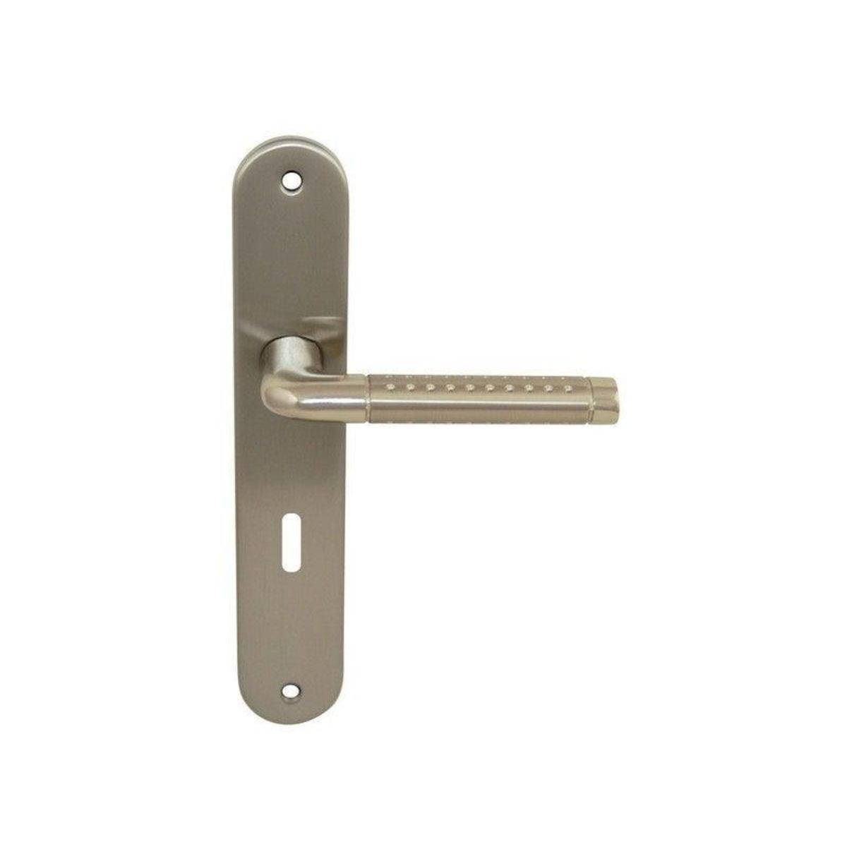 CENTRALE BRICO 2 Poignées De Porte Tolbiac Trou De Clé Inspire, Aluminium, 195 Mm