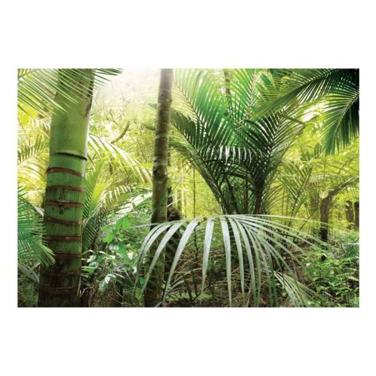 Paris Prix Papier Peint  Green Alley