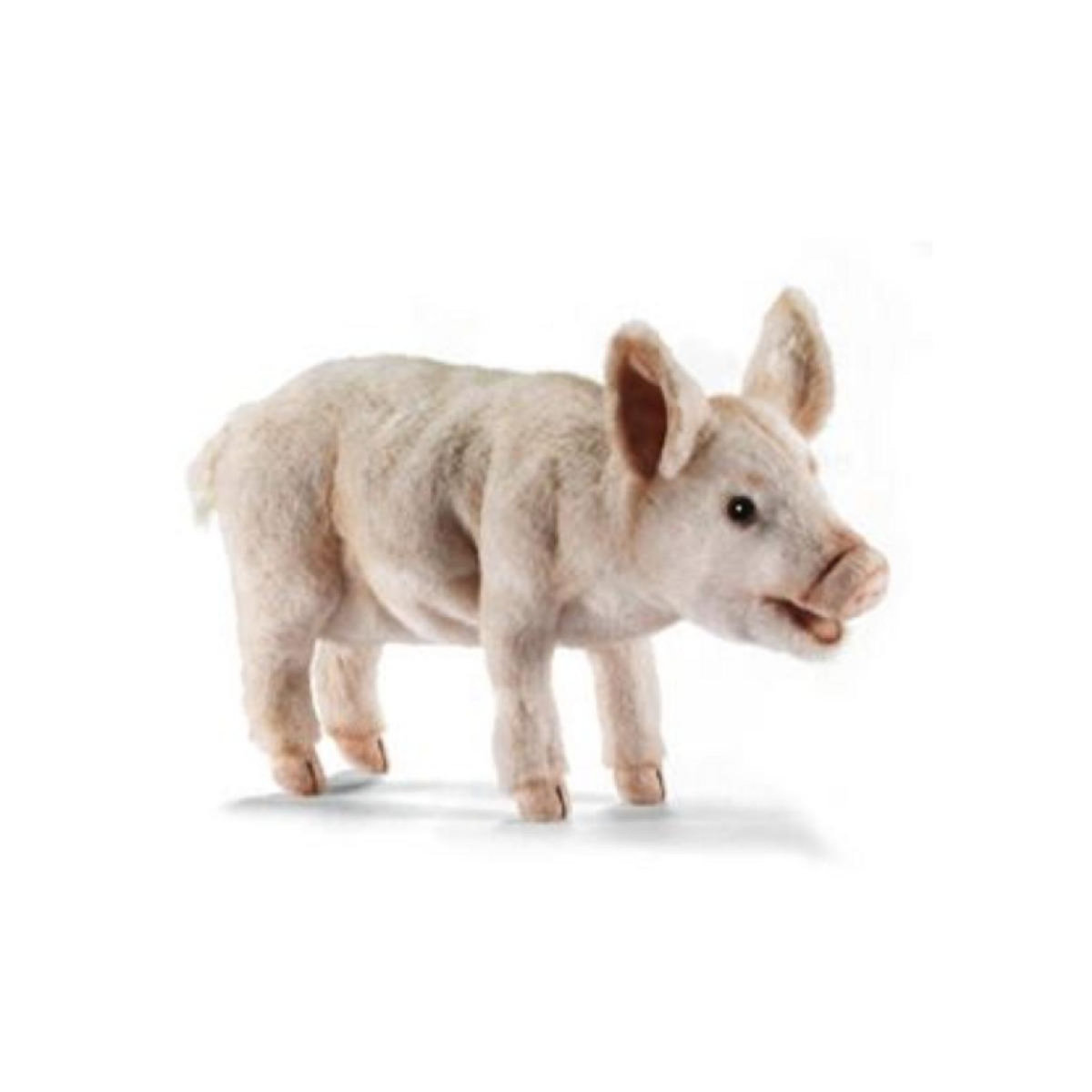 Hansa Cochon 4 Pattes 18cmH/30cmL