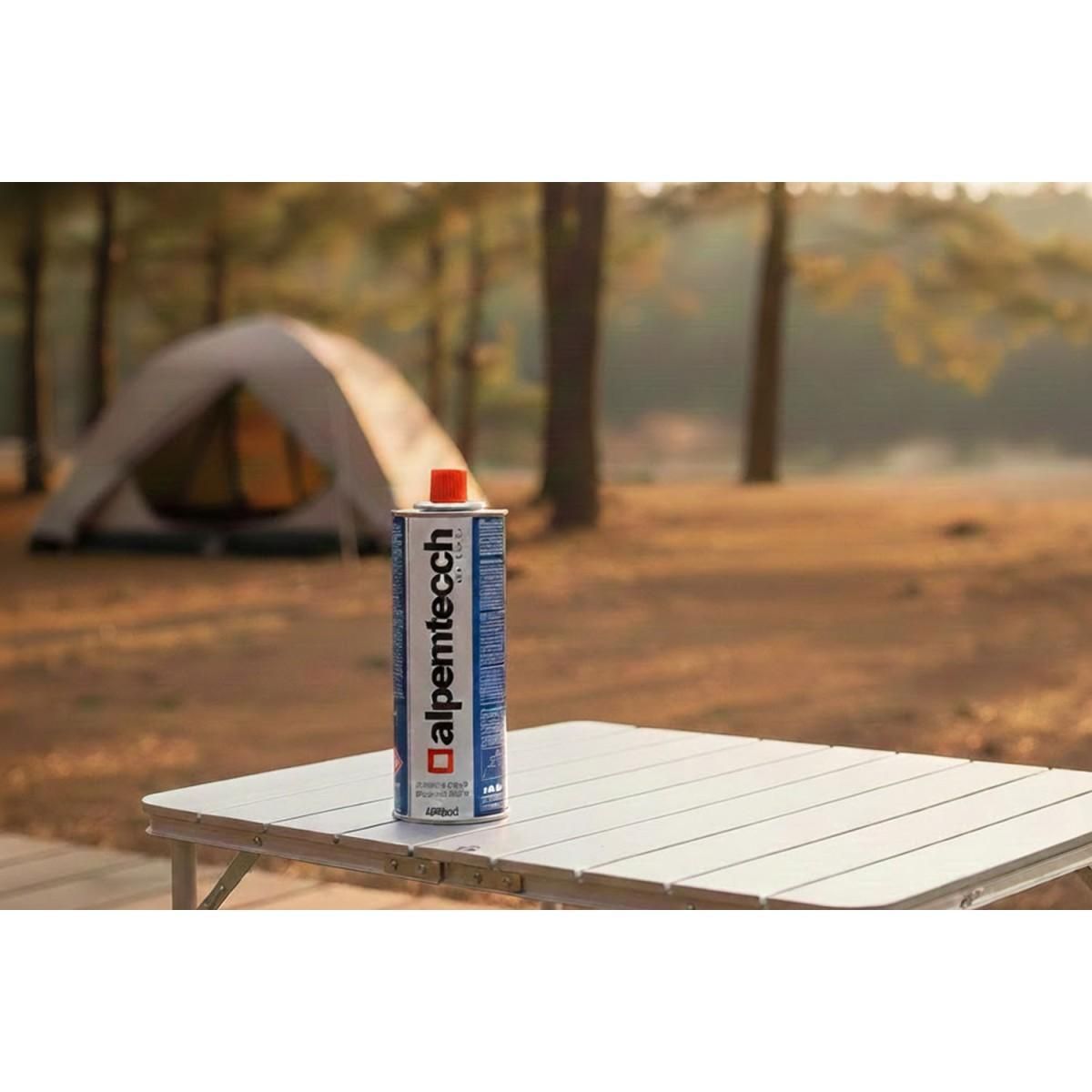 ALPENTECH Desherbeur thermique piezo Chalumeau gaz + 4 Recharges Desherbant thermique Brule herbes