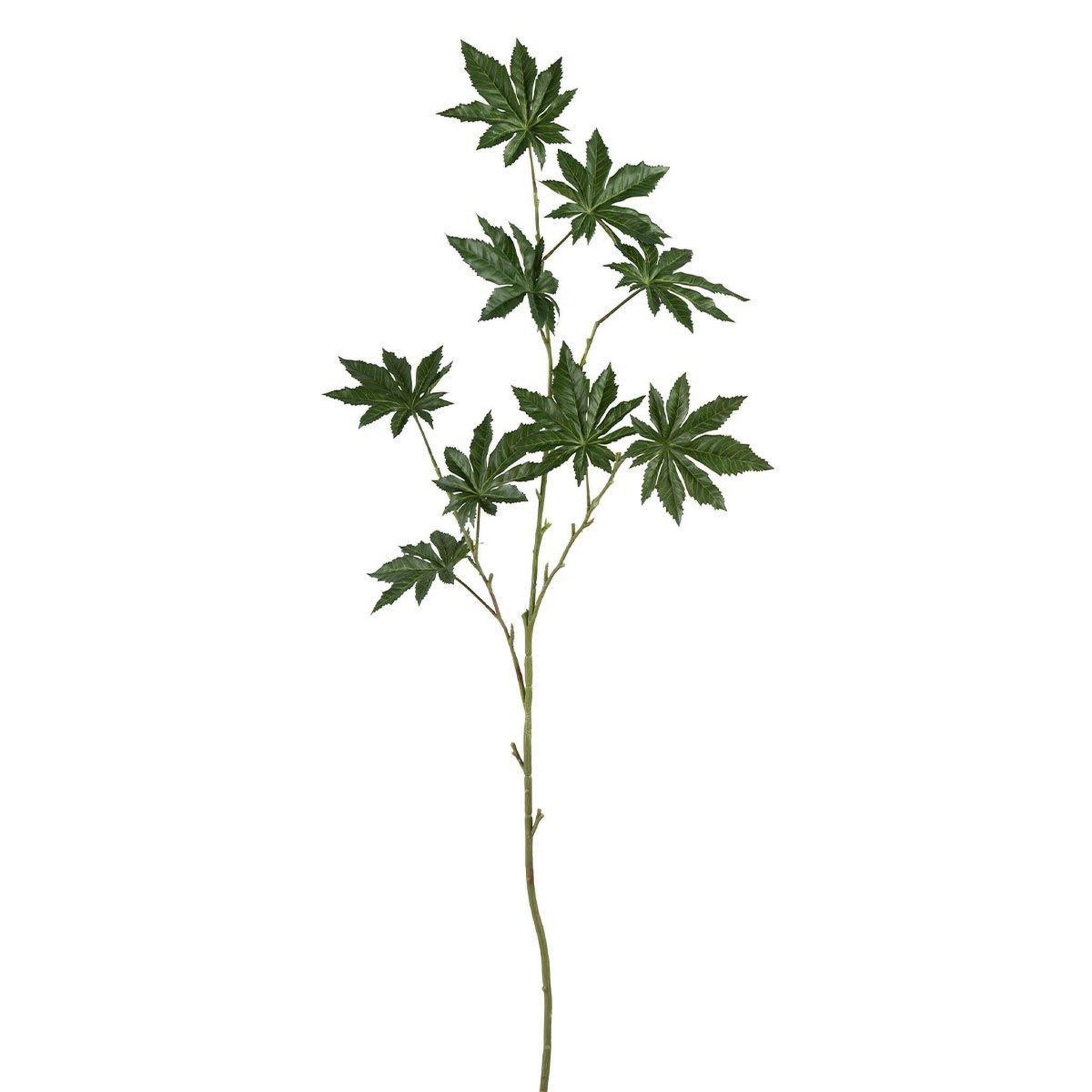 J-LINE Fleur Artificielle  Branche Papayer  122cm Vert
