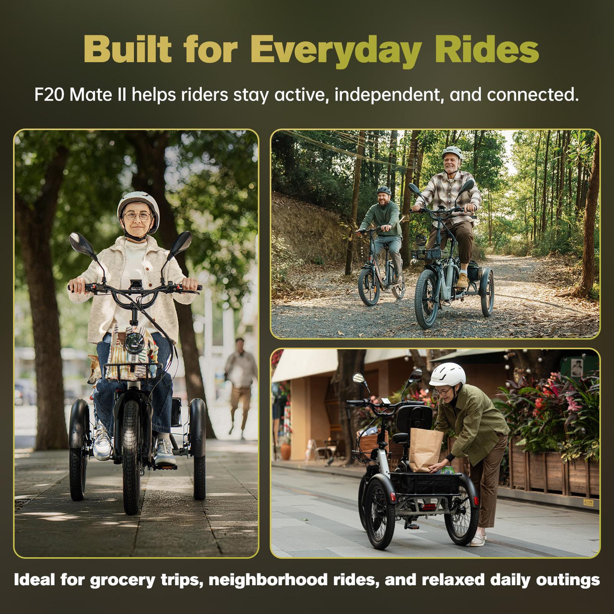 Voir la diapositive 5 : FAFREES Tricycle électrique fafrees f20 mate ii 25 ah