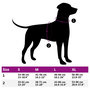 Voir la diapositive 6 : VIDAXL Harnais pour chien avec laisse et collier reglables marron S
