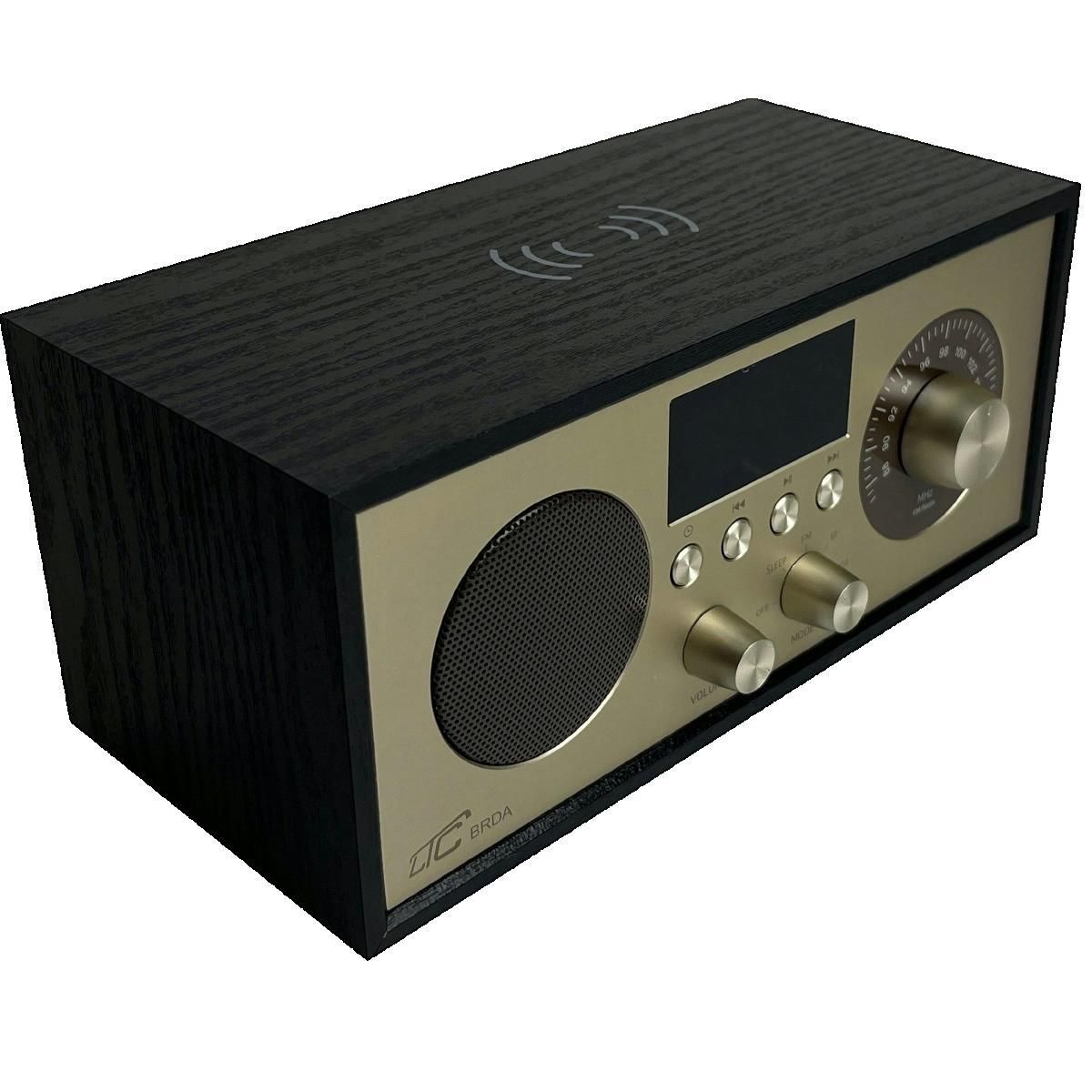 LTC AUDIO Enceinte portable bluetooth ltc Brda noir et or