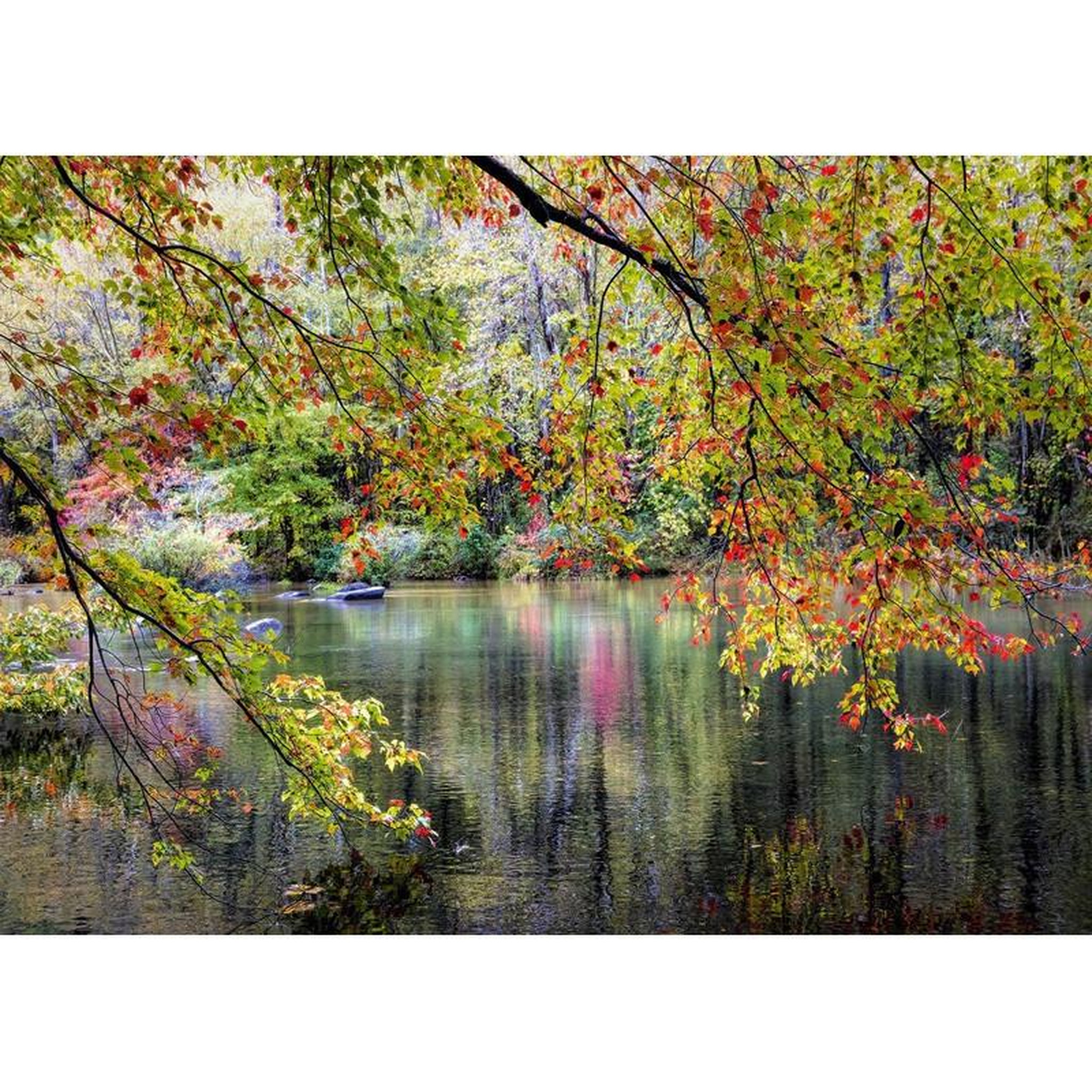 Voir la diapositive 2 : ALIZE PUZ 1000P POINT D EAU ET ARBRE ALIZE ALI50030