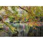 Voir la diapositive 2 : ALIZE PUZ 1000P POINT D EAU ET ARBRE ALIZE ALI50030