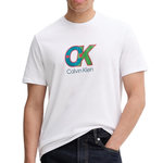 CALVIN KLEIN JEANS T Shirt  Homme Calvin Klein Jeans  V04RD821G. Coloris disponibles : Blanc