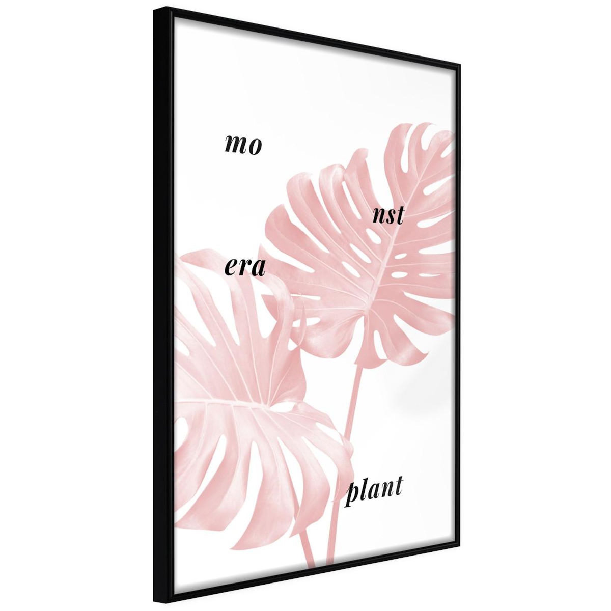 Paris Prix Affiche Murale Encadrée  Pale Pink Monstera