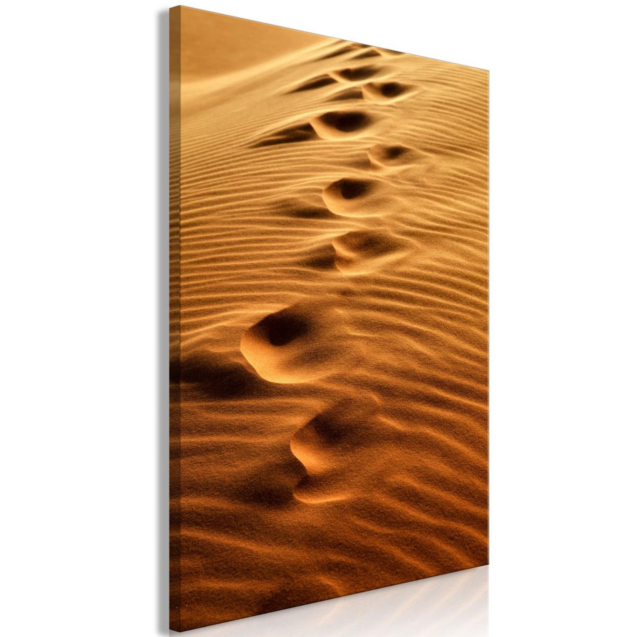 Paris Prix Tableau imprimé  traces on the sand. Coloris disponibles : Multicolore