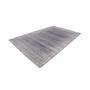 Voir la diapositive 2 : Paris Prix Tapis à Poils Courts Tissé  Stanley  Gris Argent