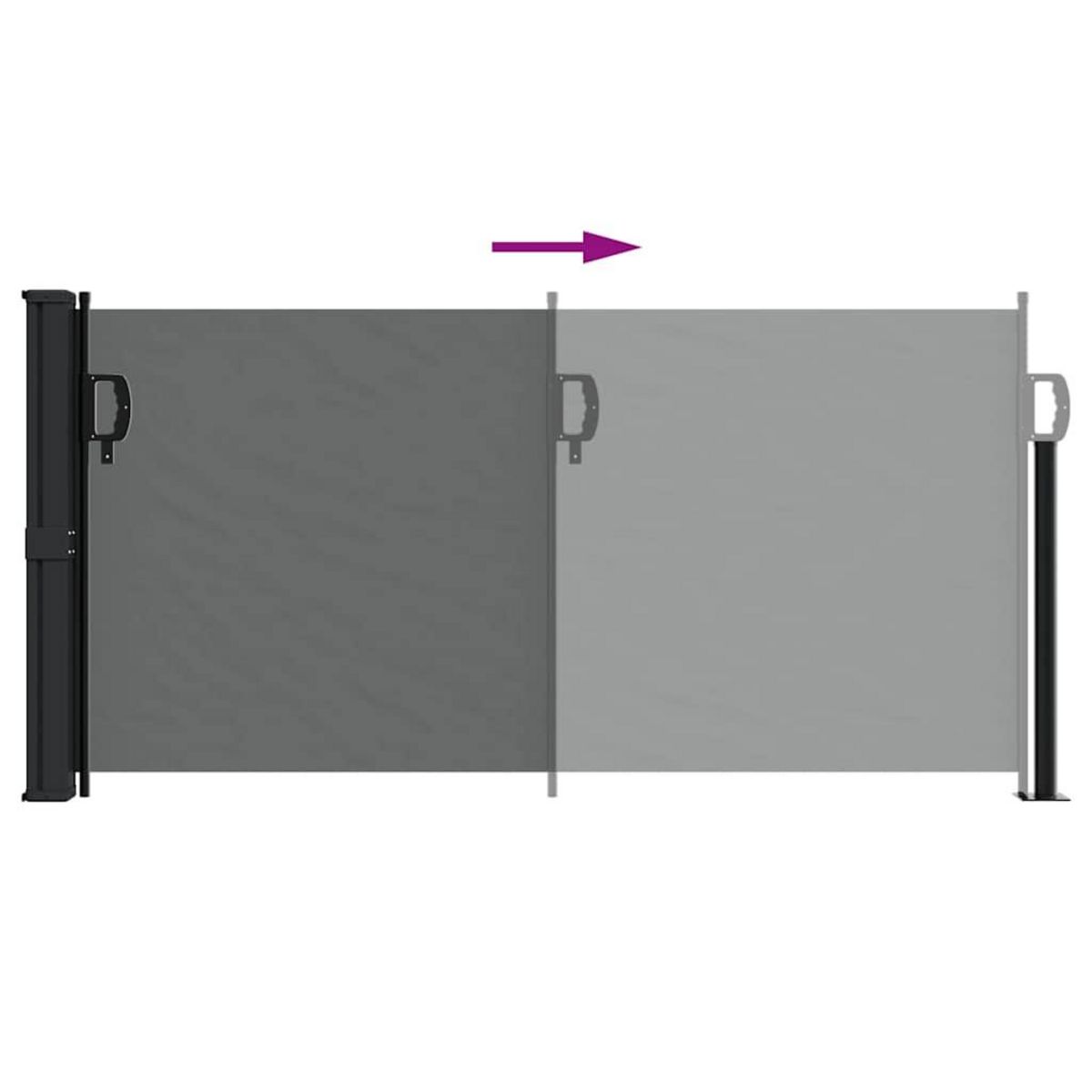 VIDAXL Auvent lateral retractable anthracite 100x300 cm