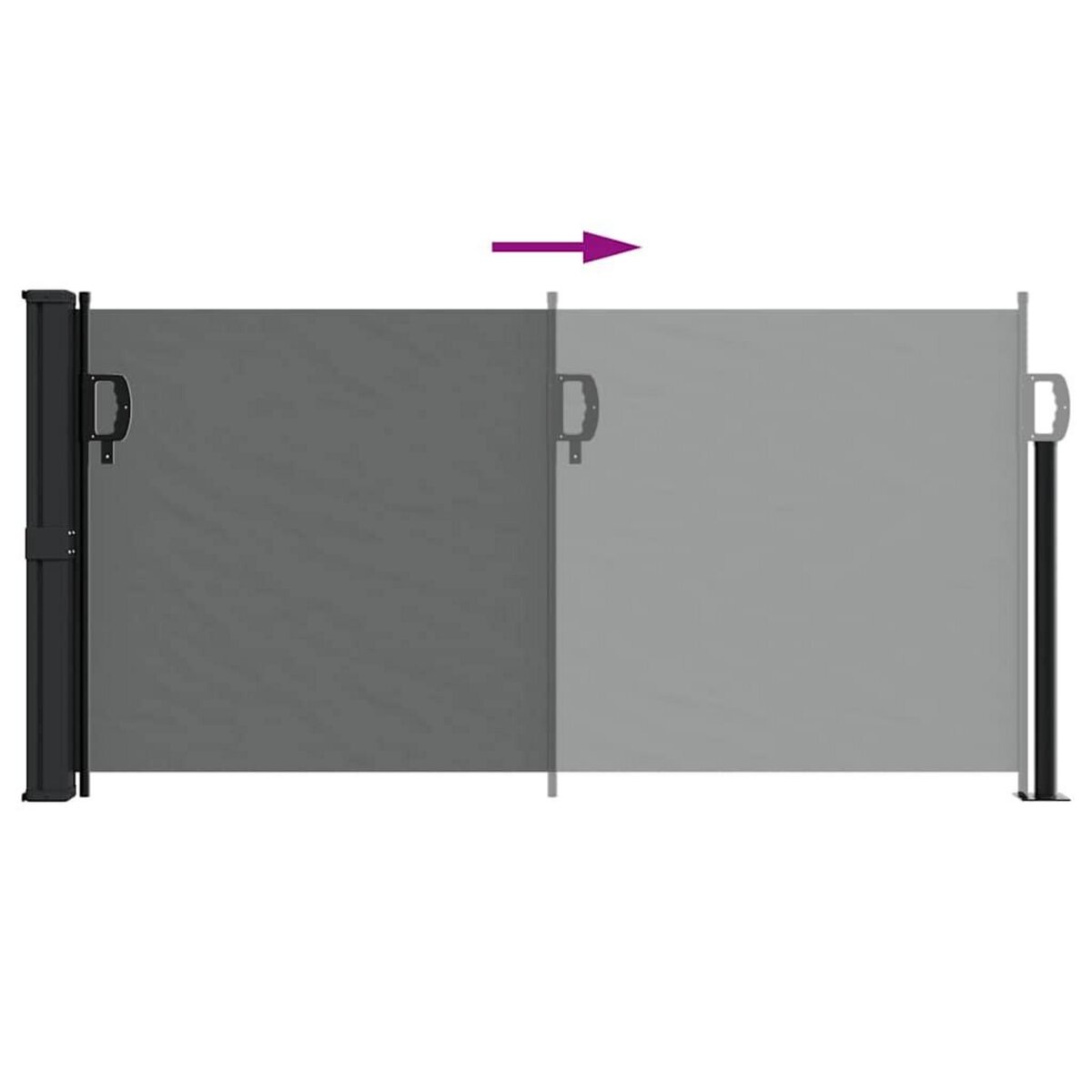VIDAXL Auvent lateral retractable anthracite 100x300 cm