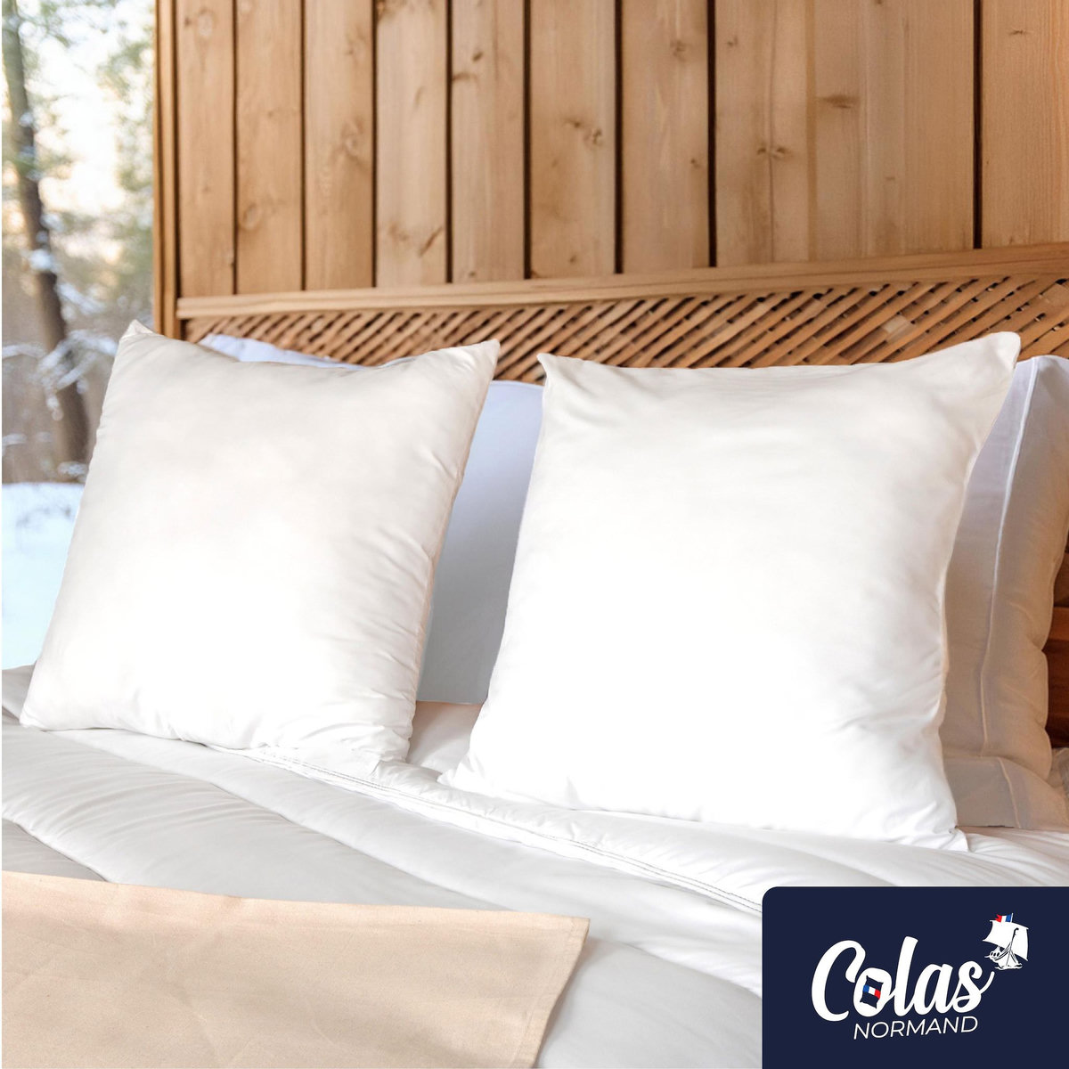 COLAS NORMAND Lot de 2 oreillers lavables à 95° 60×60 cm