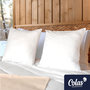 Voir la diapositive 2 : COLAS NORMAND Lot de 2 oreillers lavables à 95° 60×60 cm
