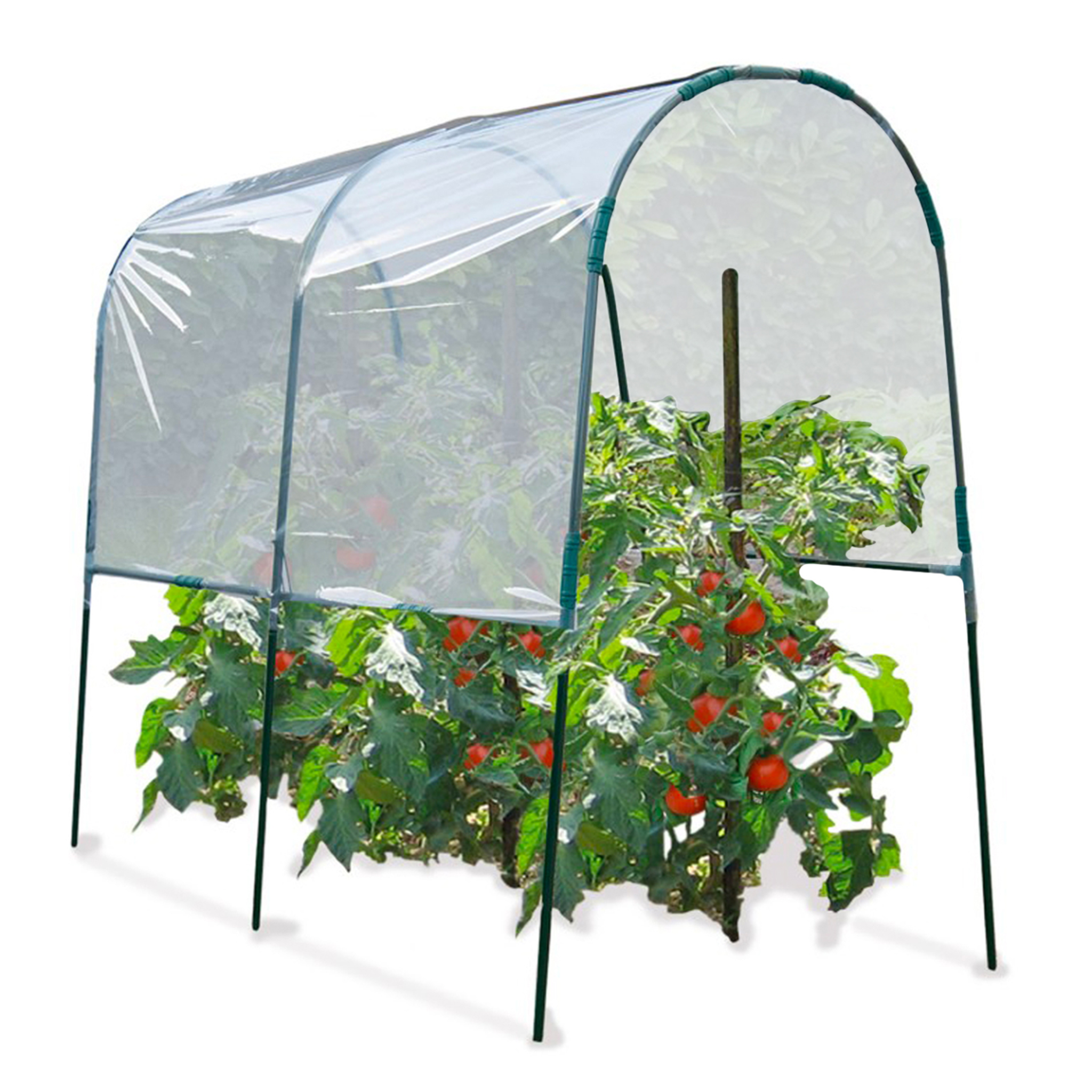 Voir la diapositive 3 : ID MARKET Serre à tomates de jardin 200 x 120 x 170 cm avec bâche transparente + arceaux en acier