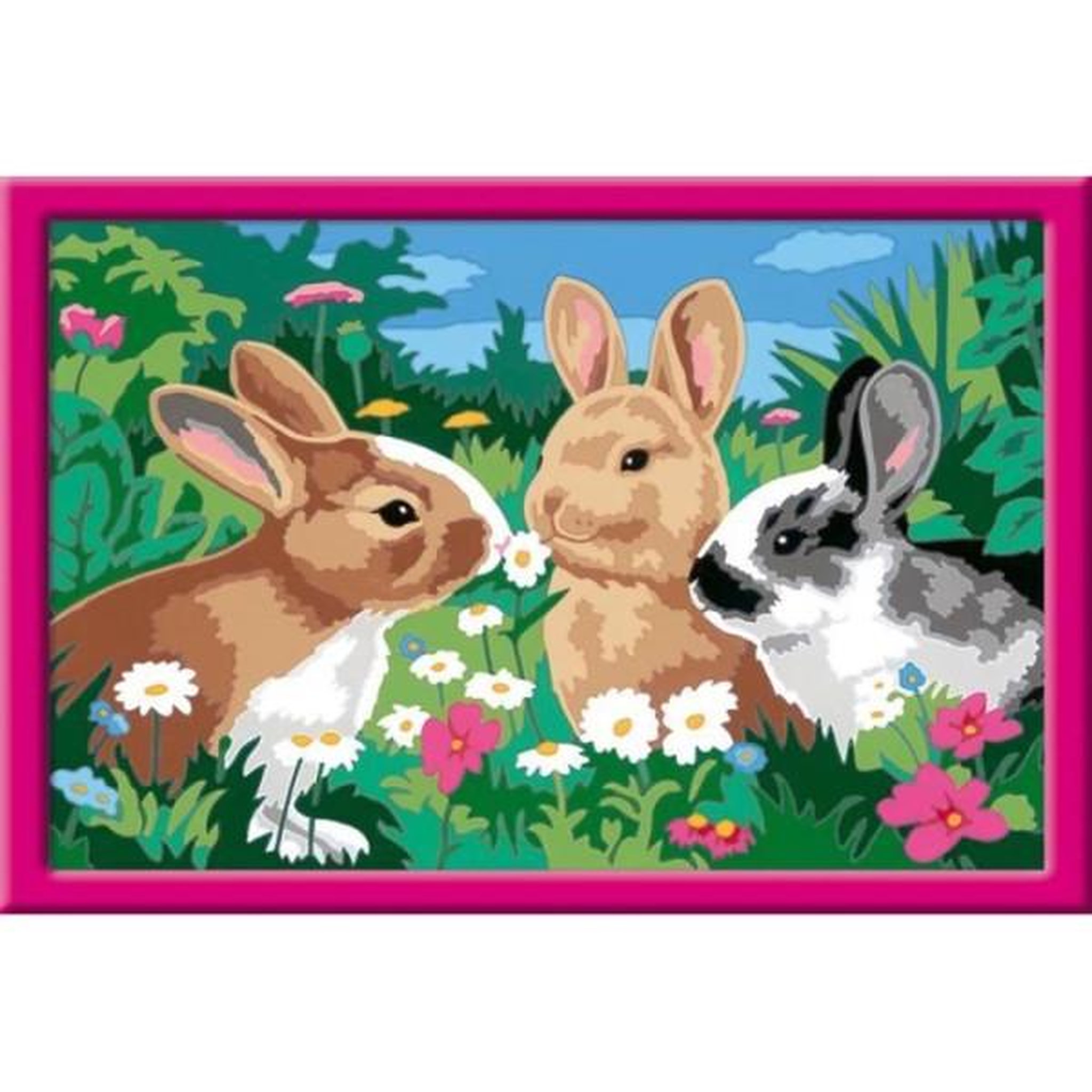 Voir la diapositive 3 : RAVENSBURGER CreArt Kids 31x21cm Lapins dans le pré, Kit de peinture par numéros Numéro d'Art, Des 9 ans, 25847, Ravensburger