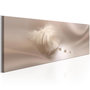 Voir la diapositive 1 : Paris Prix Tableau Imprimé  Delicate Feather
