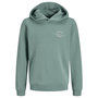 Voir la diapositive 1 : Jack & Jones Sweat Vert Garçon Jack & Jones Brandon
