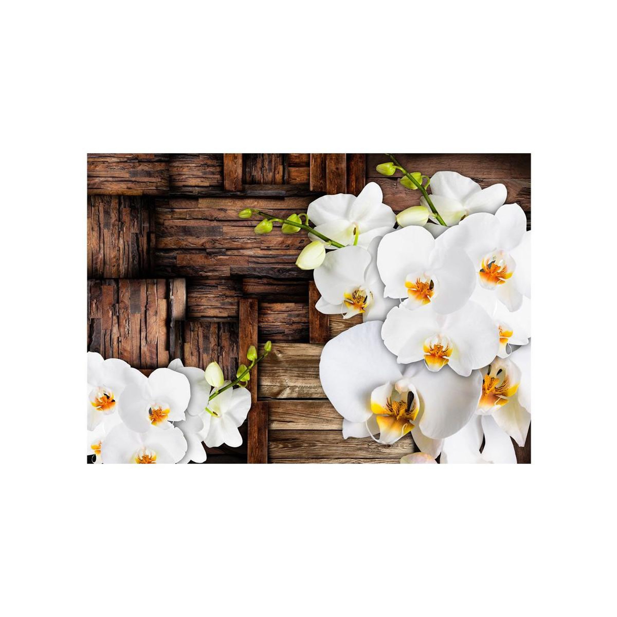 Voir la diapositive 2 : Paris Prix Papier Peint  Blooming Orchids