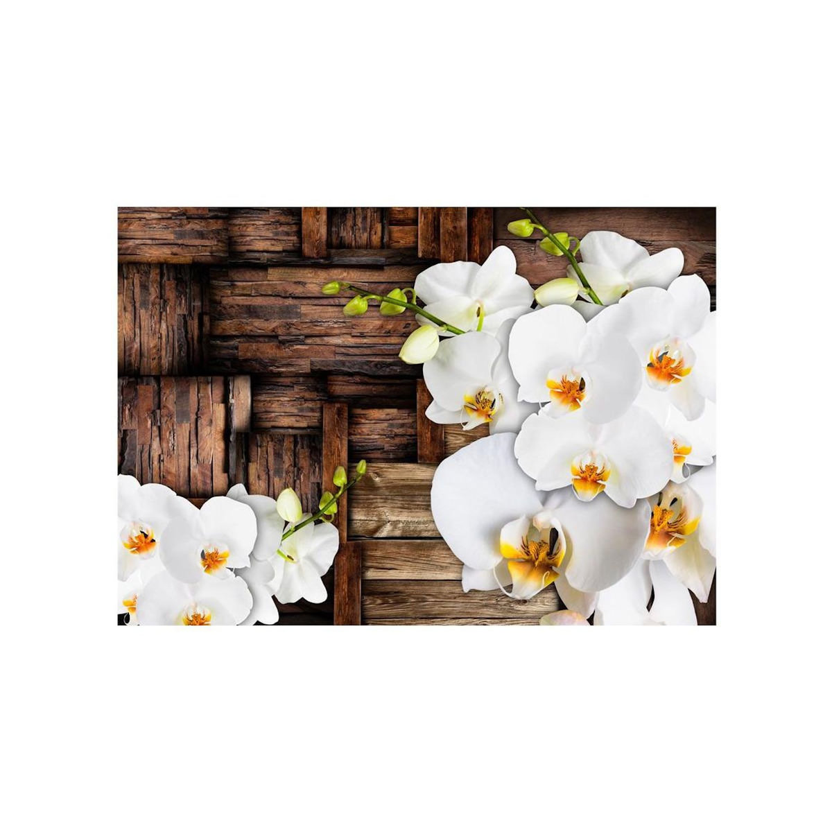 Paris Prix Papier Peint  Blooming Orchids